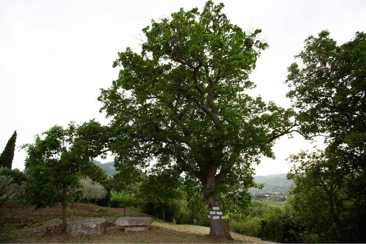 Equiturismo San Lorenzo - Villa Kamara Cammarata Italy