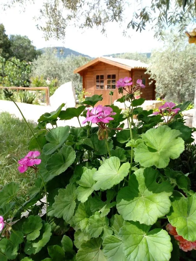 Equiturismo San Lorenzo - Villa Kamara Cammarata Italy