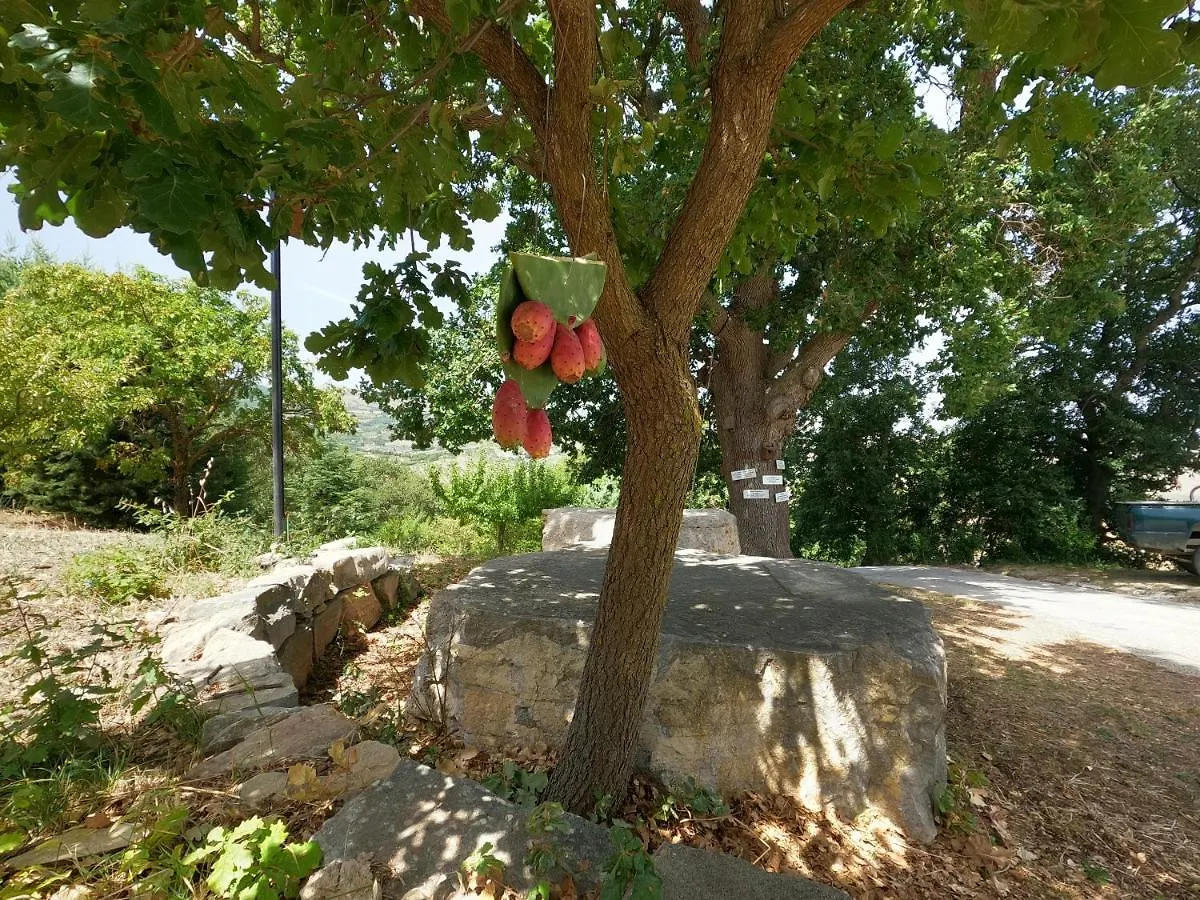 Maison d'hôtes Equiturismo San Lorenzo - Villa Kamara Cammarata