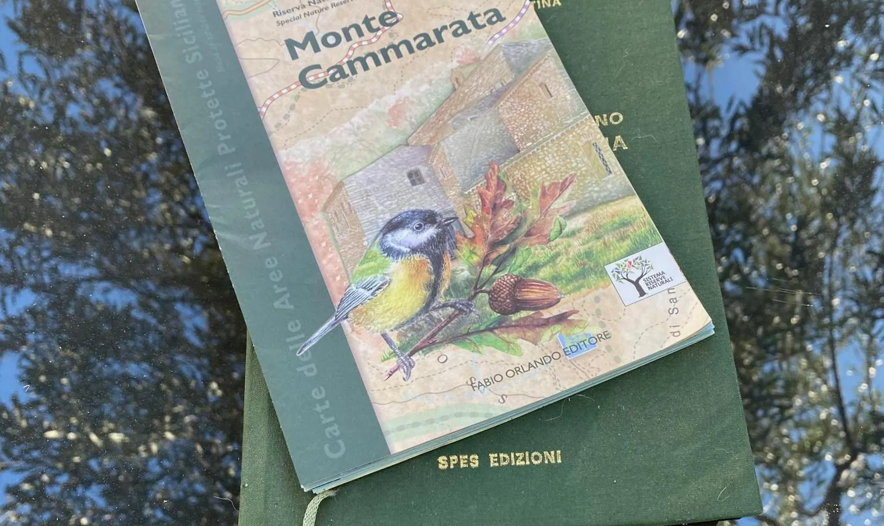 Maison d'hôtes Equiturismo San Lorenzo - Villa Kamara Cammarata